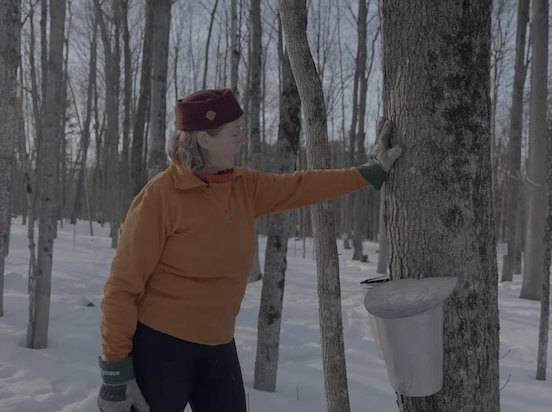 Local sugarbush to be featured at Hudson Film Festival